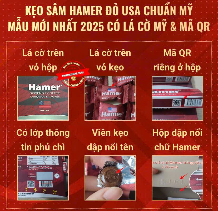 Sam-hamer-chinh-hang