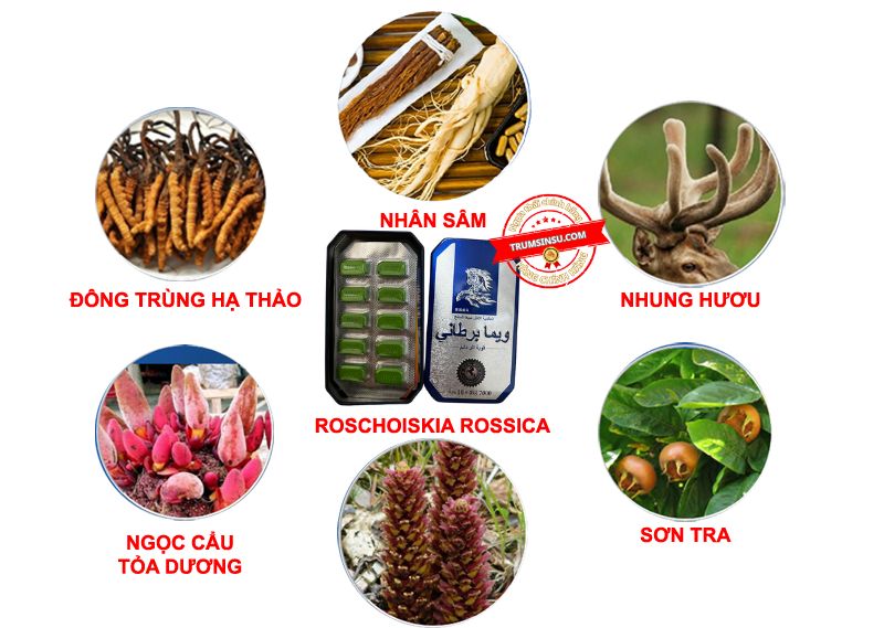 vien-uong-ngua-thai