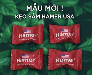Kẹo Sâm Hammer